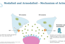 Modalert and its Role in Treating Sleep Disorders